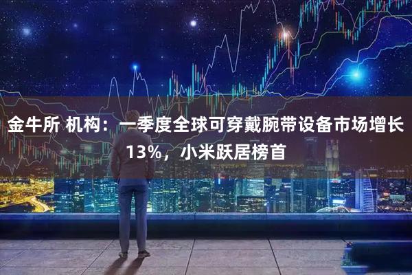 金牛所 机构：一季度全球可穿戴腕带设备市场增长13%，小米跃居榜首