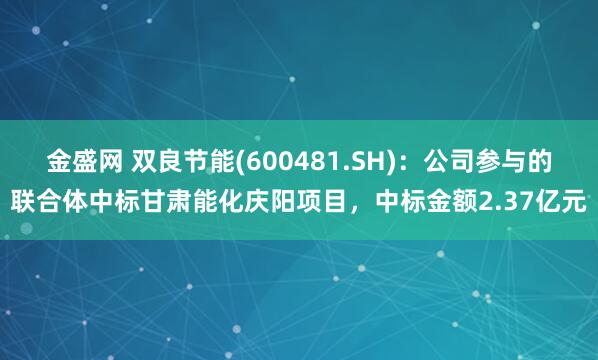 金盛网 双良节能(600481.SH)：公司参与的联合体中标甘肃能化庆阳项目，中标金额2.37亿元