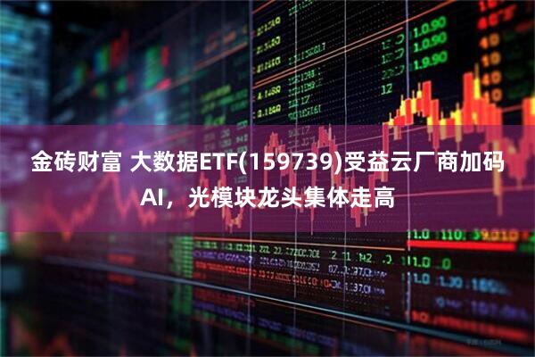 金砖财富 大数据ETF(159739)受益云厂商加码AI，光模块龙头集体走高