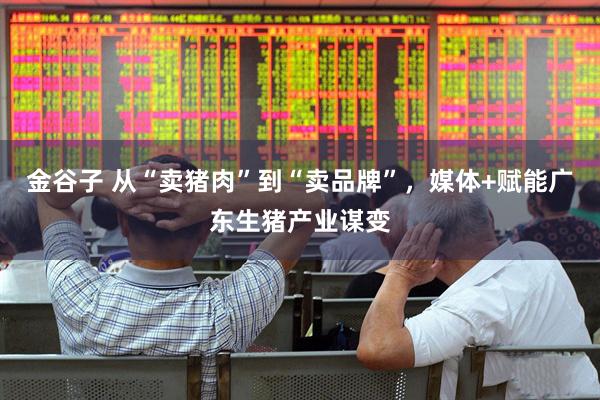 金谷子 从“卖猪肉”到“卖品牌”，媒体+赋能广东生猪产业谋变