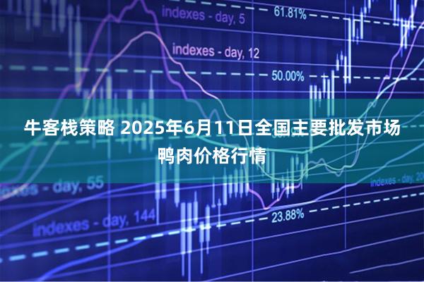 牛客栈策略 2025年6月11日全国主要批发市场鸭肉价格行情