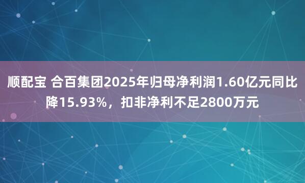 顺配宝 合百集团2025年归母净利润1.60亿元同比降15.93%，扣非净利不足2800万元