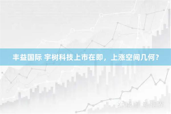 丰益国际 宇树科技上市在即，上涨空间几何？